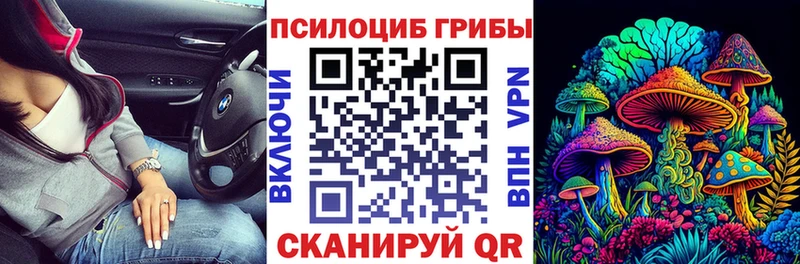 Галлюциногенные грибы MAGIC MUSHROOMS  Южа 